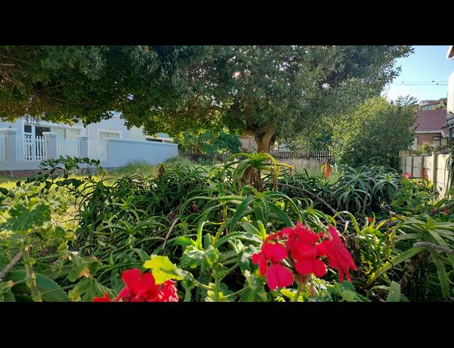 476M² VACANT LAND FOR SALE IN TERGNIET